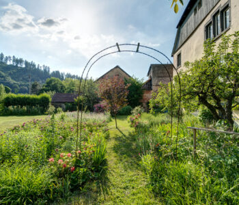 Pfarrgarten Sulzburg, Foto: Tusch