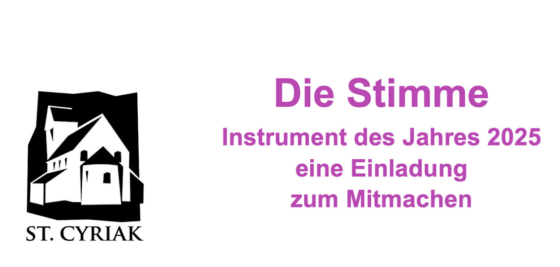 Logo Stimme - Instrument des Jahres 2025